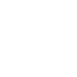 Nordica-Light-Logo-WH-2